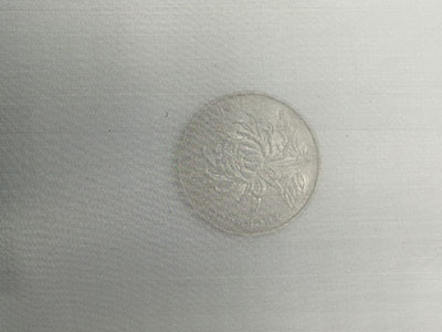 300目不銹鋼篩網(wǎng)